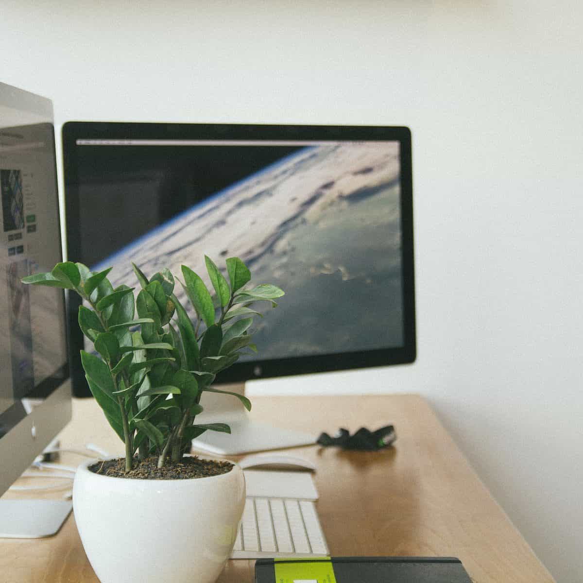 No Exam Life Insurance For Rheumatoid Arthritis Guide]